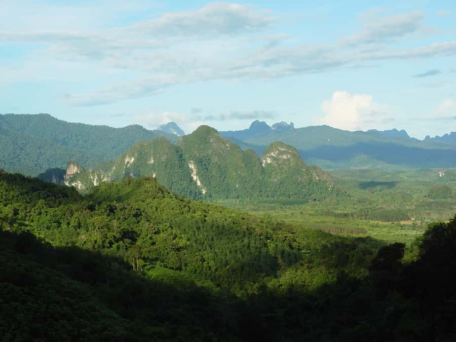 From Khao Lak: Day Trip to Khao Sok with Elephant Camp Visit - Canoeing On The Jungle River: Cliffs, Trees, And Real Wildlife Chances