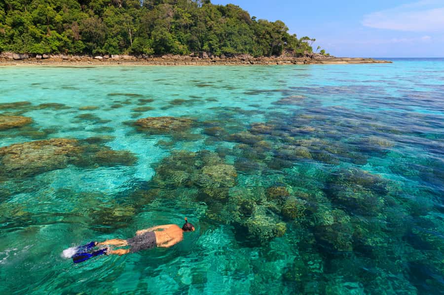 From Khao Lak: Full-Day Snorkeling in the Surin Islands - Who this tour fits best, and who should think twice