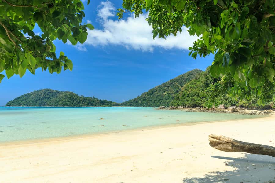 From Khao Lak: Full-Day Snorkeling in the Surin Islands - At the pier: how the day gets organized fast