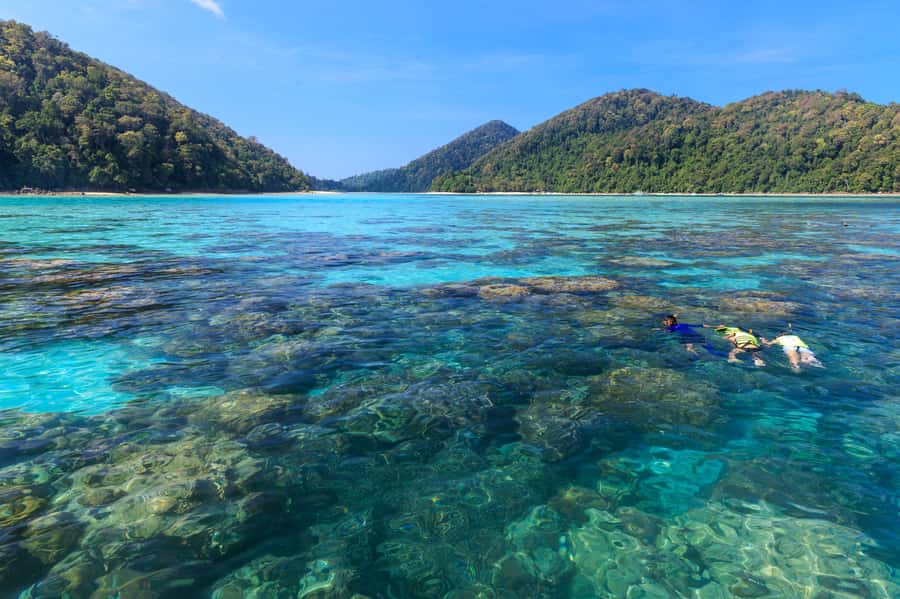 From Khao Lak: Full-Day Snorkeling in the Surin Islands - Snorkel sessions on the Surin reefs: what you’re really paying for