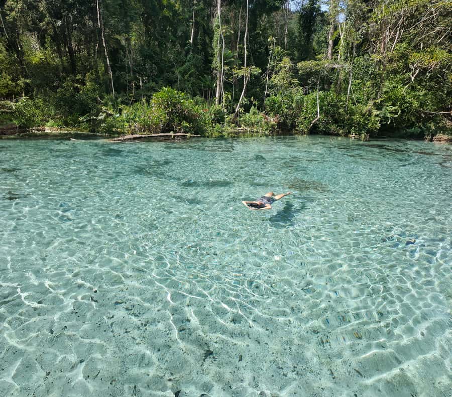 From Khao Lak/Khao Sok: Cheow Lan Lake and Emerald Pool Tour - Why This Khao Sok Day Trip Works So Well