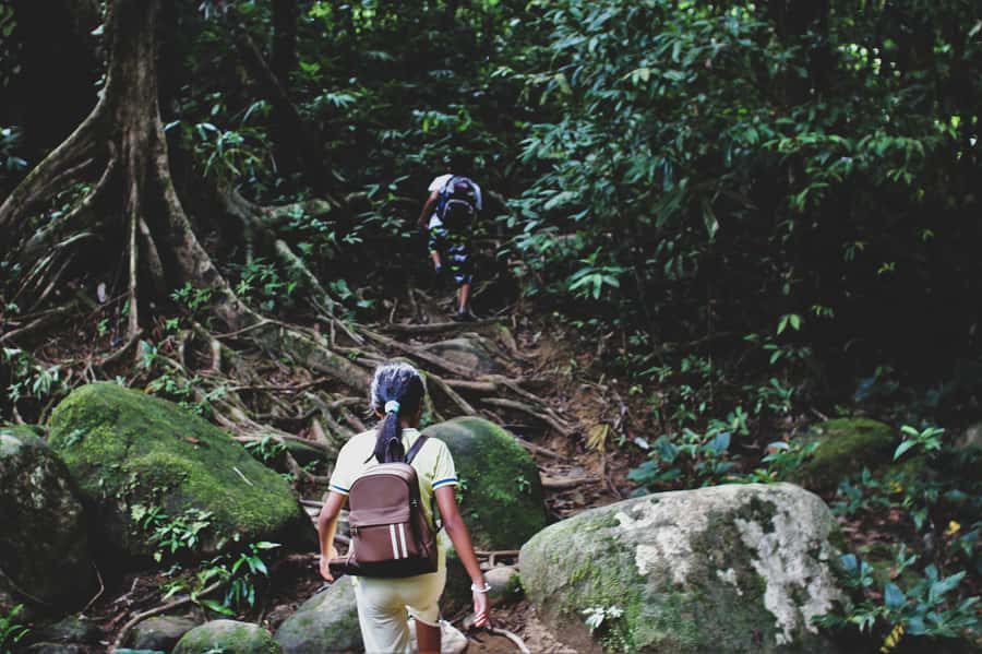 From Khao Lak: Khao Sok Jungle Hike & River Tour - Khao Lak pickup, park arrival, and the morning rhythm you need