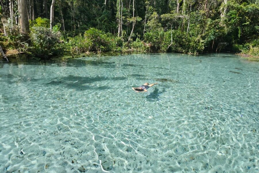 From Khao Lak or Phuket: 2-Day Cheow Lan Lake Tour - Price and value: what you’re paying for at $304 per person