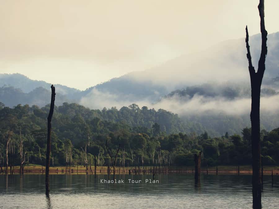 From Khao Lak or Phuket: 2-Day Cheow Lan Lake Tour - Floating bungalow check-in, then a sunset wildlife boat safari