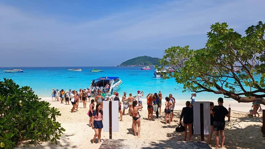From Khao Lak & Phuket: Trip to Similan Islands by Speedboat - Key Highlights and What They Really Mean