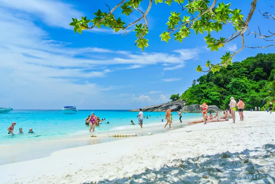 From Khao Lak & Phuket: Trip to Similan Islands by Speedboat - Similan Islands by Speedboat: Why This Day Feels Worth It
