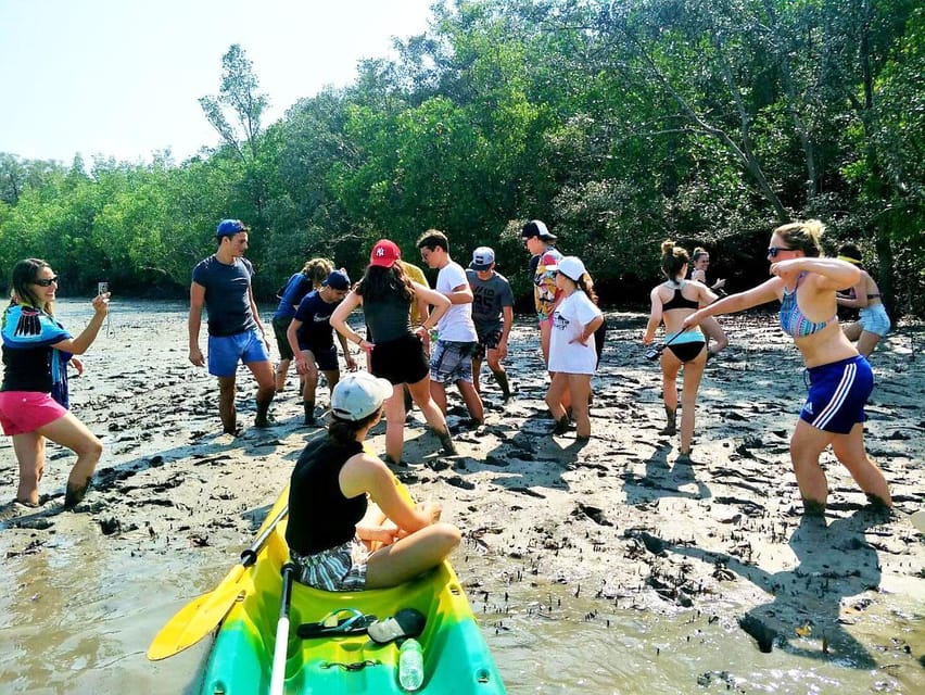 From Ko Lanta: Mangrove Eco-Excursion by Longtail Boat - Value at about $28: what you get for a half-day tour