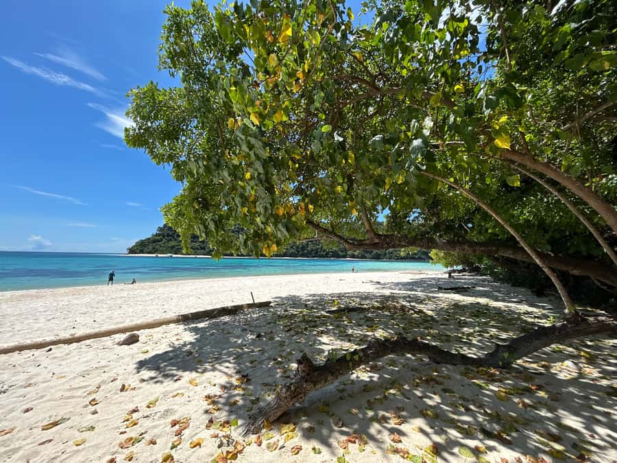 From Koh Lanta: Koh Rok and Koh Ha Day Tour-Queen of Andaman - Stop 2: Koh Rok Islands, the Queen of the Andaman Sea and the long beach break