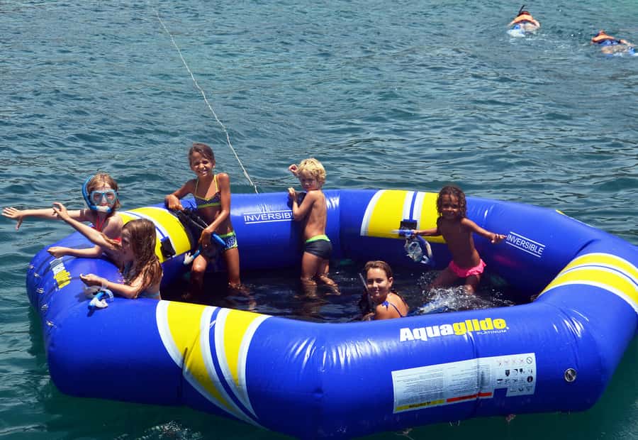 From Koh Samui: Half-Day Private Yacht Charter - Ko Mat Sum, Pig Island: feeding pigs and beach wandering