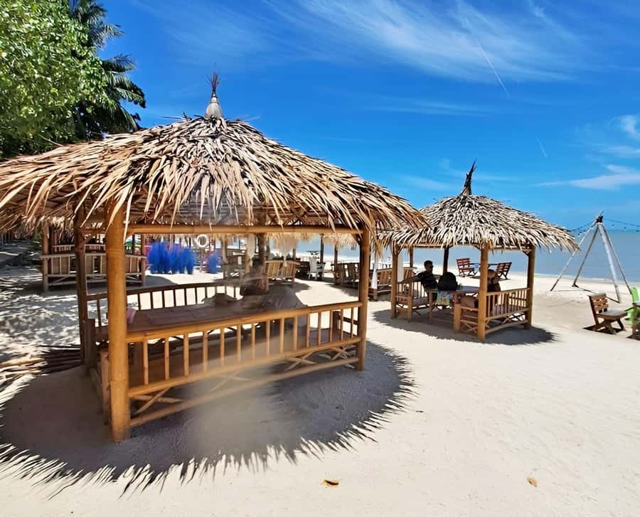 From Koh Samui: Pink Dolphin Boat Tour to Khanom with Lunch - Key things you’ll notice on this tour