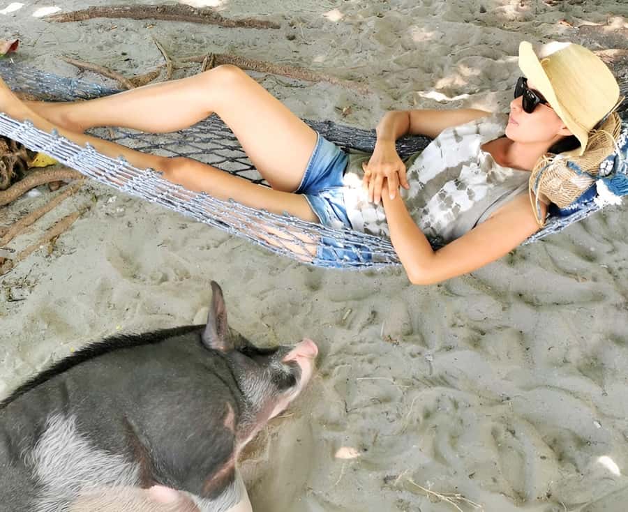 From Koh Samui: Pink Dolphin Boat Tour to Khanom with Lunch - Getting back to Koh Samui: scenic cruise and a normal finish