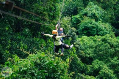 Tree Bridge Zipline and Café Experience