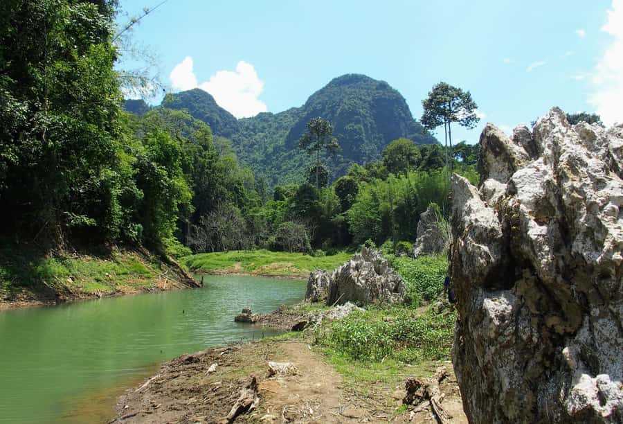 From Krabi: 2-Day Khao Sok Jungle Safari with Overnight Stay - Tha Pom Klong Song Nam: a cool stream walk that breaks up the drive
