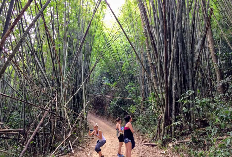 From Krabi: 2-Day Khao Sok Jungle Safari with Overnight Stay - Jungle bungalow reality: simple, practical, and noisy in the best way