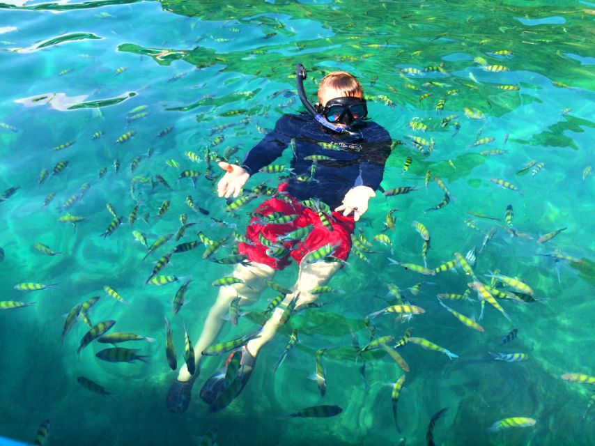 From Krabi: 4 Islands Snorkeling Tour by Speed Boat - Snorkeling equipment, life jackets, and what to bring