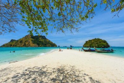 Phi Phi Early Bird & 4 Islands by Speedboat
