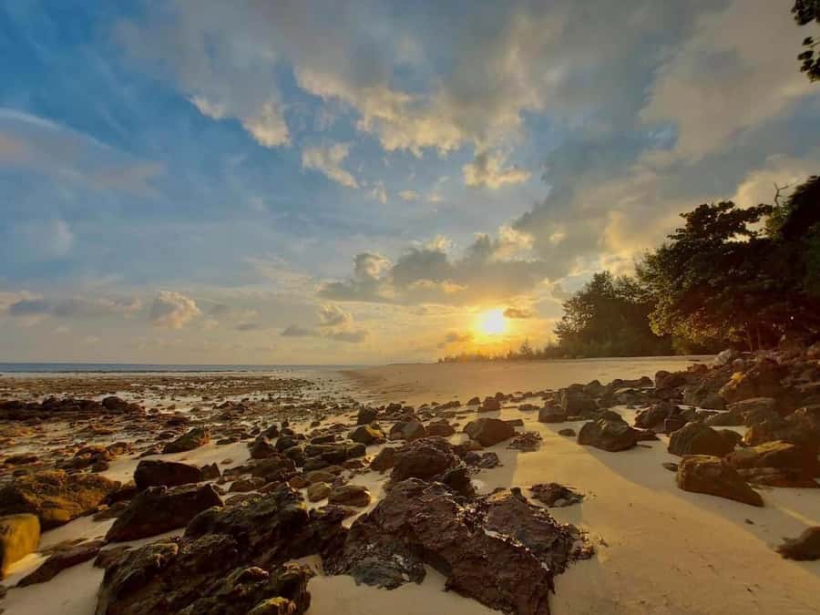 From Krabi: Phi Phi Early Bird & 4 Islands by Speedboat - Why the early departure changes the whole Phi Phi day