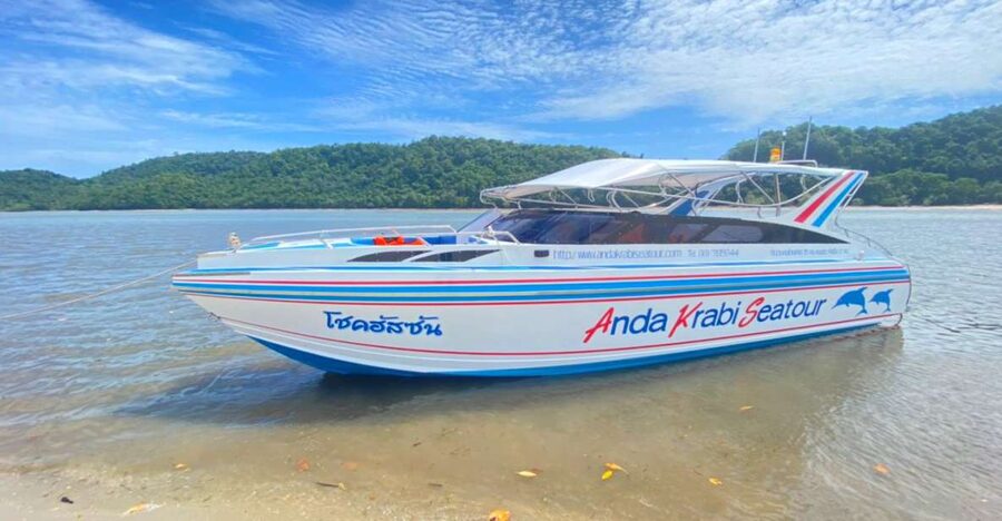From Krabi: Phi Phi Island Full-Day Private Speed Boat Tour - Why a private Phi Phi speed boat day beats the busier options