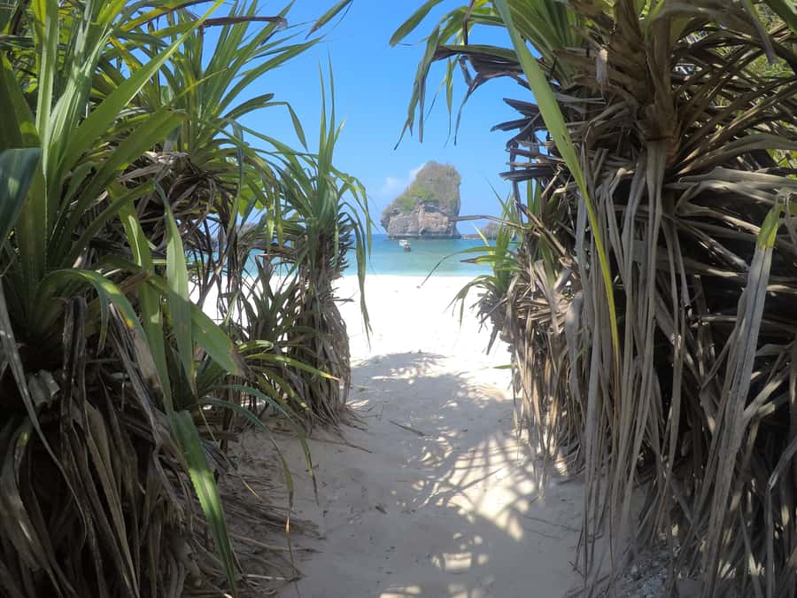 From Krabi: Phi Phi Islands Small Group Tour - Pileh Lagoon swim and Viking Cave snorkeling: the late-day water payoff
