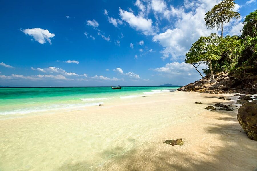 From Krabi: Phi Phi Islands Speedboat Day Tour - Key things to plan around before you go