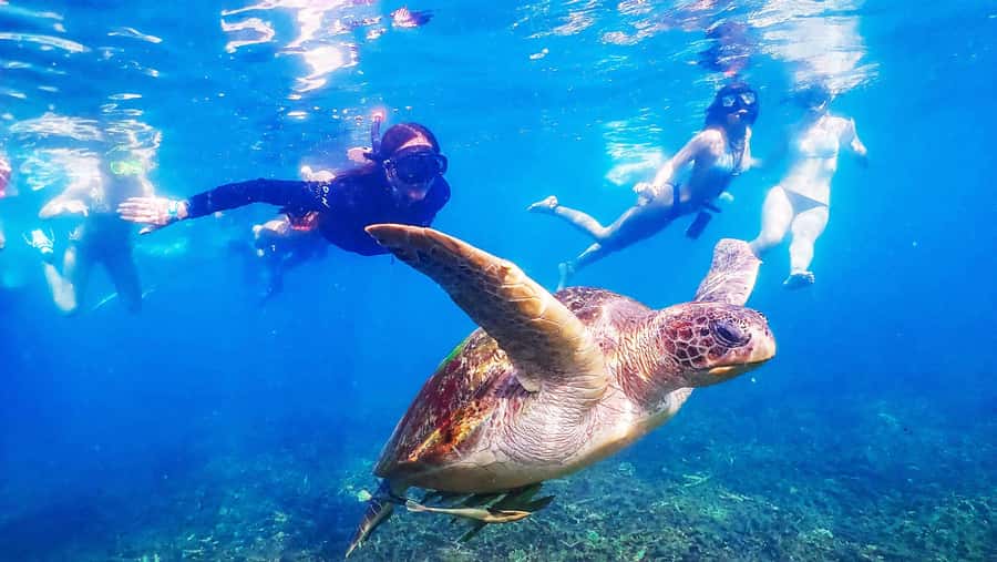 From Krabi: Surin Islands Snorkeling Tour w/ Meals - Namkhem Marina and the Sea Star check-in: breakfast and gear