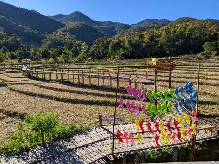 From Pai: Private Highlights Car Day Tour with Pai Canyon - Hot springs and Mo Pang waterfall, with real-world weather changes