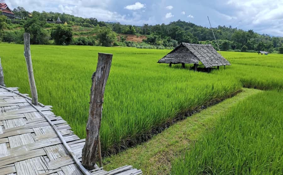 From Pai: Private Mae Hong Son Highlights Car Tour - Comfort, Safety, and What the Driver Actually Does