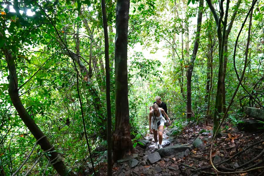 From Pattaya: Rayong Adventure Hike and Kayak Day Trip - Getting from Pattaya to Rayong, and why the timing matters