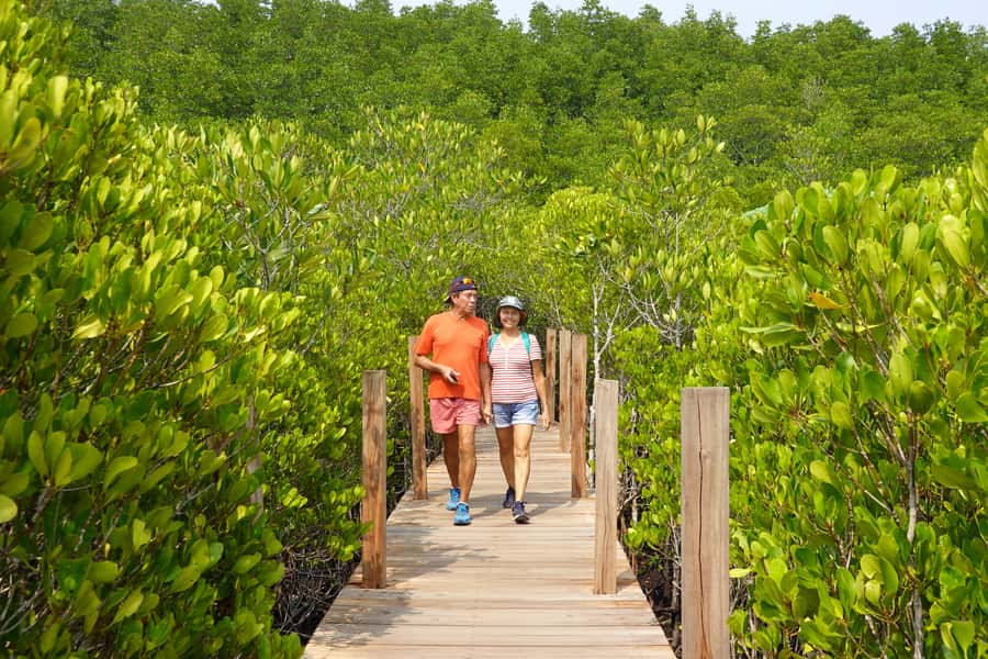 From Pattaya: Rayong Adventure Hike and Kayak Day Trip - Guide care and small-group pacing, the part that makes or breaks it