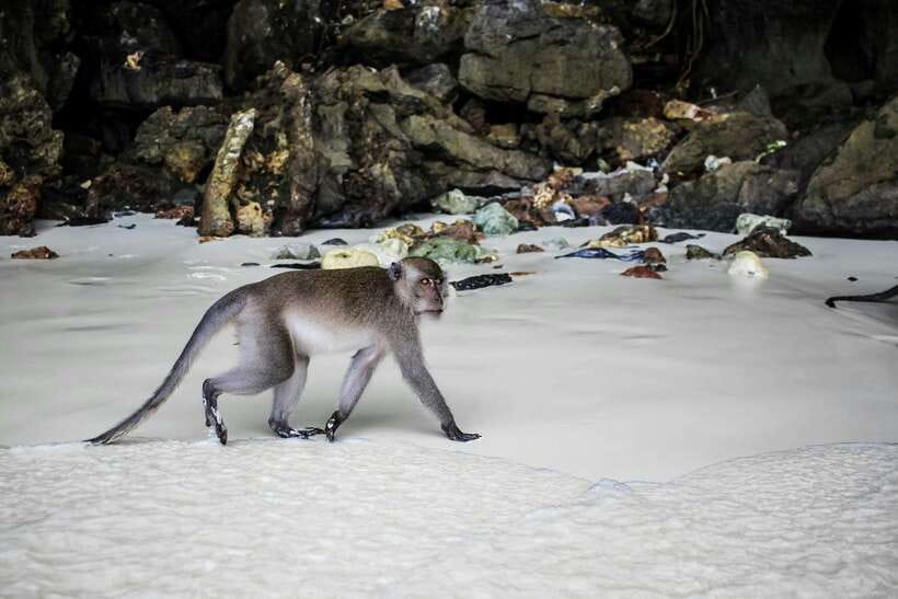 From Phi Phi: Full Day 7 Island Tour by Longtail with Sunset - Key highlights that make this tour work