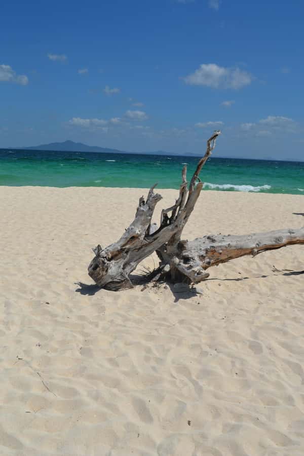 From Phi Phi : Full Day tour by Speed Boat with Lunch - Optional sunset and plankton timing