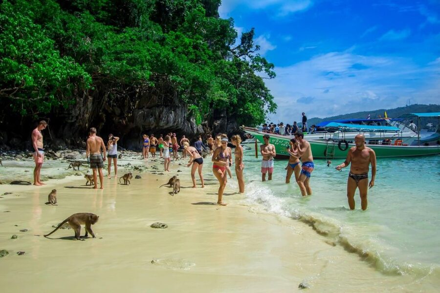 From Phi Phi: Half-Day Longtail Boat Tour with Snorkeling - Key things I’d watch for