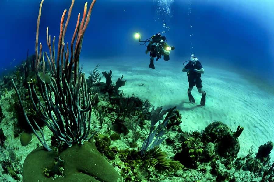 From Phuket: 3-Day SSI/PADI Open Water Diver Certification - Racha Noi Island: finishing the set and building independence