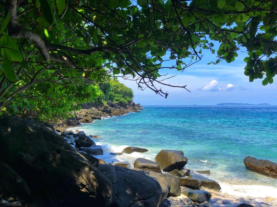 From Phuket: Coral Island Private Longtail Boat Tour - Cost and Value: $144 Private Charter Plus Island Fees
