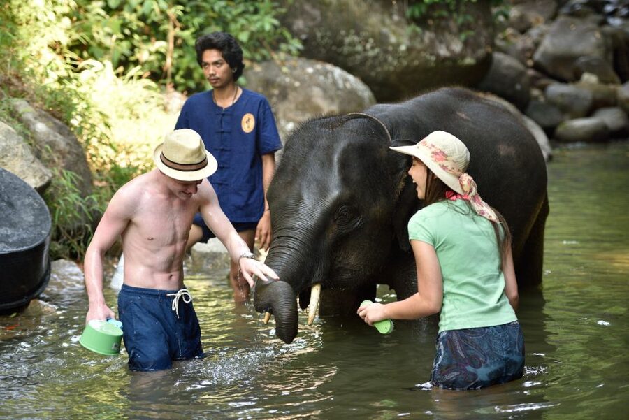 From Phuket: Elephant Care Experience with Rafting & Zipline - Mud Spa and River Bathing: The Most Memorable Part