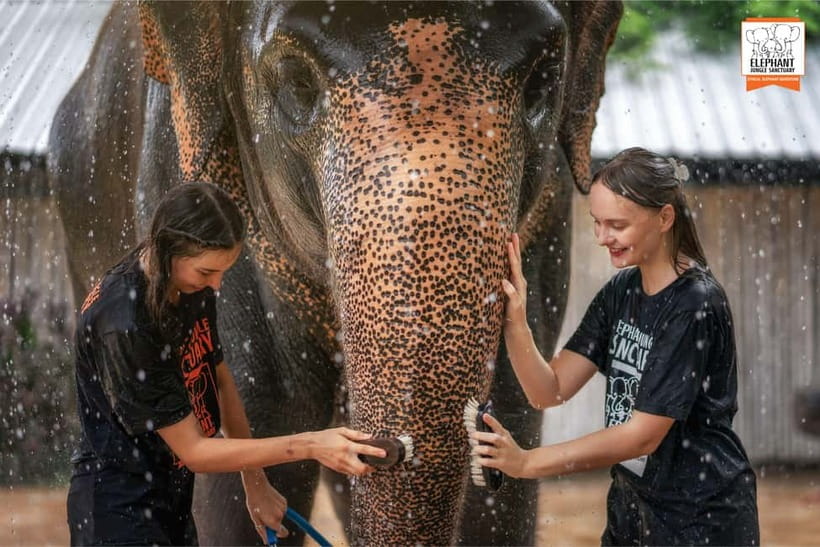 From Phuket: Elephant Jungle Sanctuary Feed and Shower Trip - Getting to Phuket Elephant Jungle Sanctuary without stress