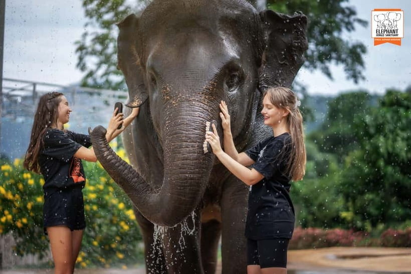 From Phuket: Elephant Jungle Sanctuary Feed and Shower Trip - Photos and small comforts that add real value