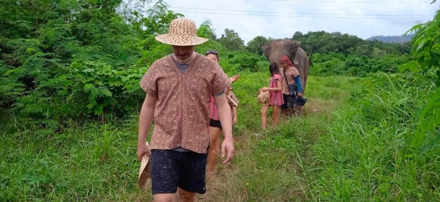 From Phuket: Ethical Elephant Interactive Trek and Tour - Late afternoon photos and the ride back to your hotel