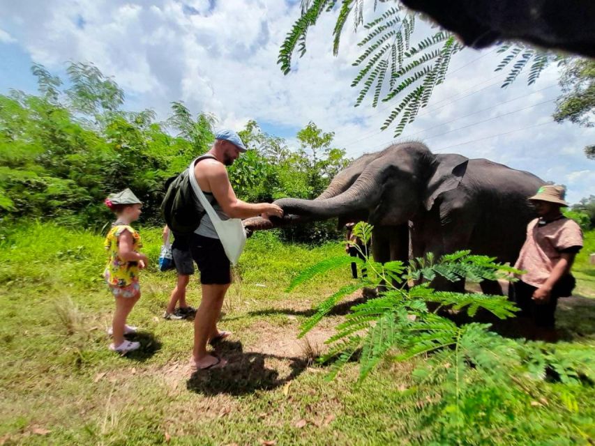 From Phuket: Ethical Elephant Interactive Trek and Tour - Jungle trekking time: walking near free-roaming elephants