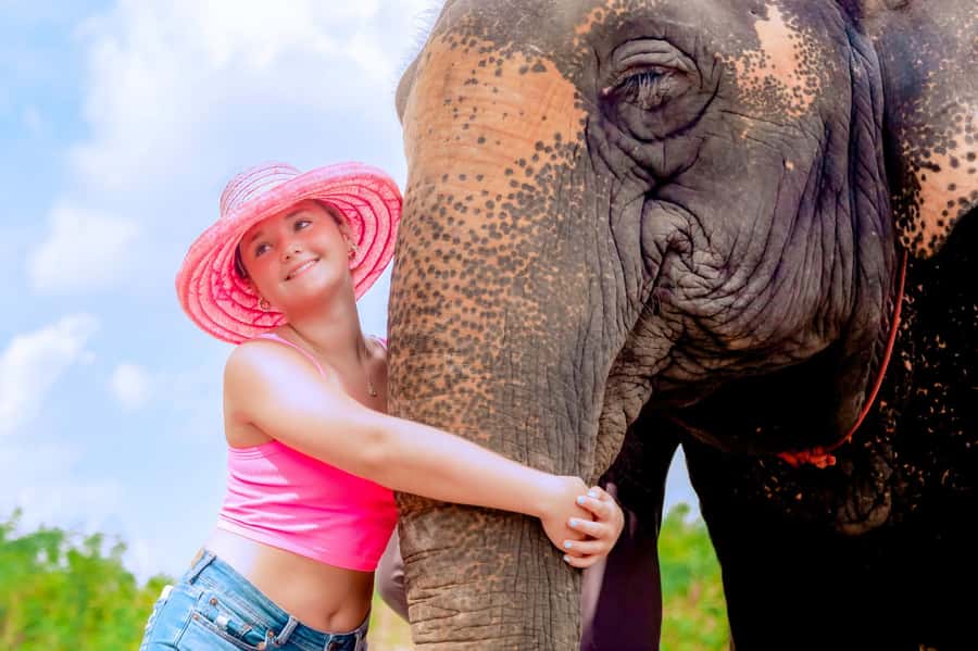 From Phuket: Ethical Elephant Interactive Trek and Tour - Mud spa with elephants: messy, fun, and not just for photos