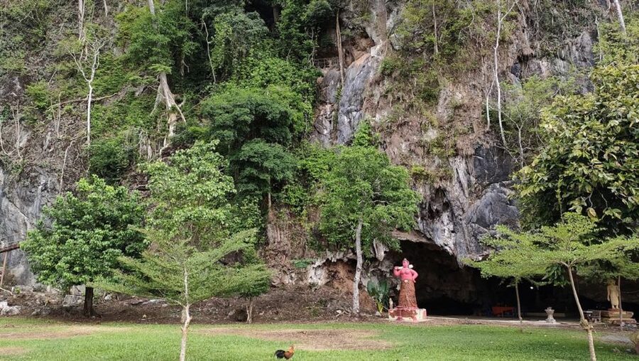From Phuket: Full-Day Private Tour to Khao Sok Highlights - Rafting or Canoeing on the Khao Sok River: Fun, But Expect Conditions