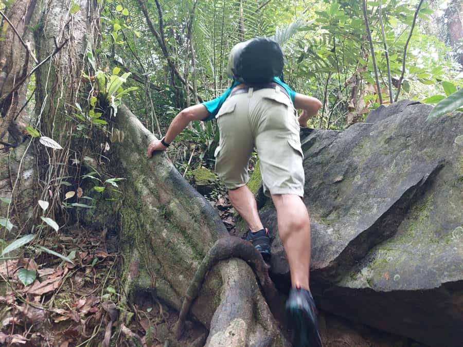 From Phuket: Guided Rainforest Hike with Lunch - Phuket rainforest starts at Khao Phraew, not on a beach