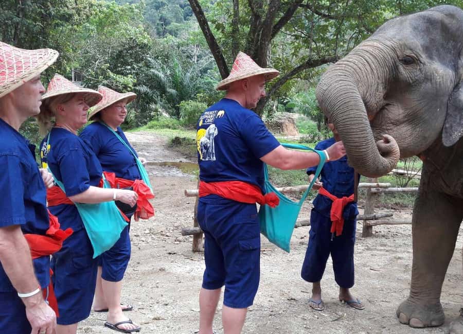 From Phuket & Khao Lak: Elephant Care with Waterfall Visit - Key things to know before you go