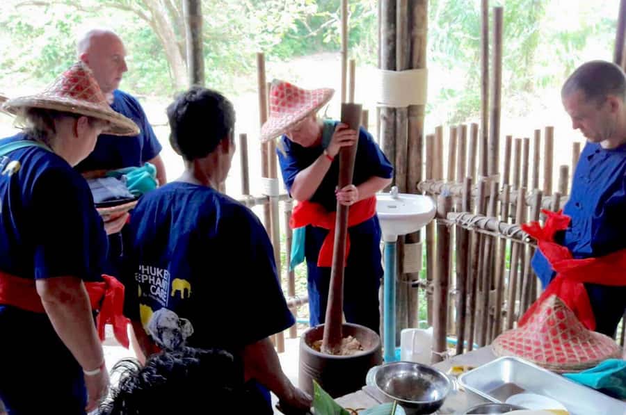 From Phuket & Khao Lak: Elephant Care with Waterfall Visit - Finding the elephants in the natural setting