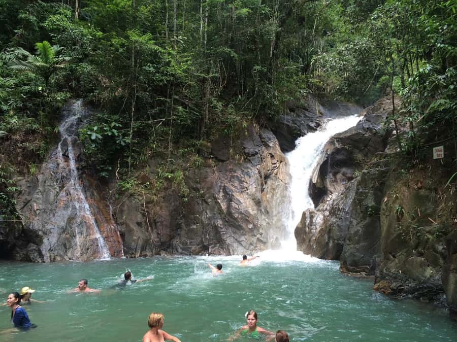 From Phuket & Khao Lak: Elephant Care with Waterfall Visit - River bathing and grooming, up close and practical