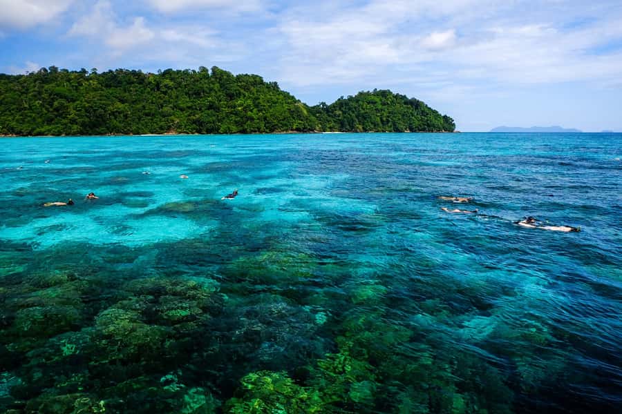 From Phuket/Khaolak: Surin Islands Snorkeling Day Trip - 6 Key Reasons This Day Trip Works So Well