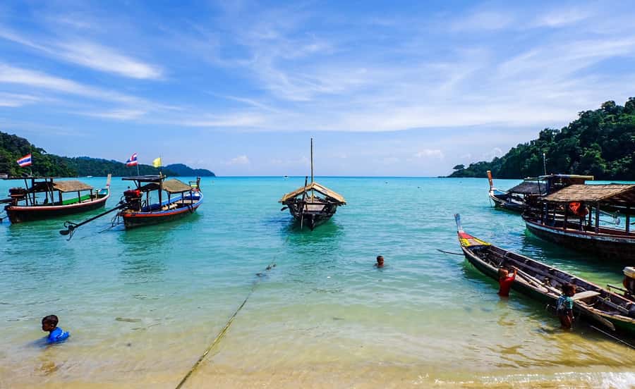 From Phuket/Khaolak: Surin Islands Snorkeling Day Trip - Sharks, Season, and What You Should Actually Look For