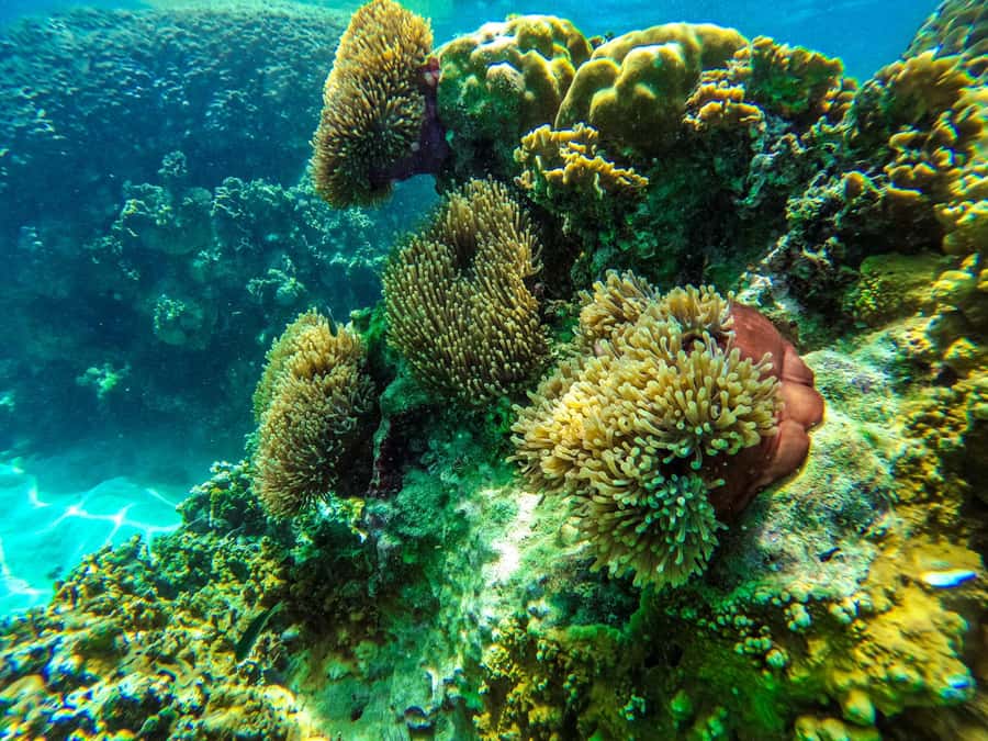 From Phuket: Lazy Snorkel & Explore at Bamboo & Phi Phi - Who should book, and who should skip this island day