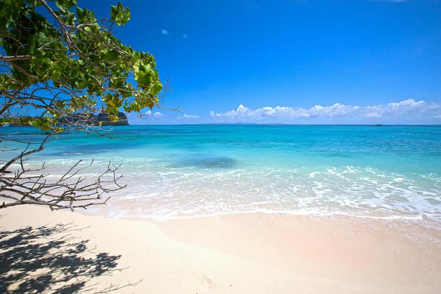 From Phuket Or Khao Lak: Phi Phi Islands Early Bird Tour - Monkey Beach plus Phi Phi Don viewpoint hike