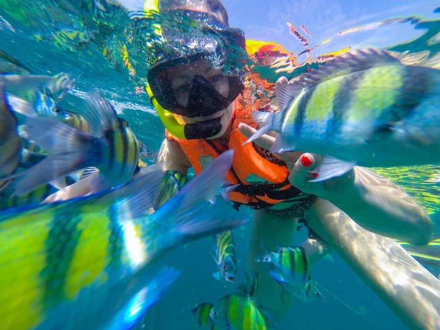 From Phuket: Phi Phi and Maya Bay Snorkeling by Speedboat - A full Phi Phi Islands day from Phuket, without the slow parts